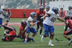 autenticos-tigres-linces-uvm-onefa-liga-mayor-2023-4