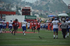 autenticos-tigres-linces-uvm-onefa-liga-mayor-2023-6