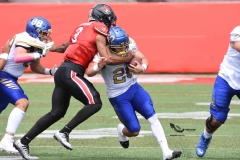 autenticos-tigres-linces-uvm-onefa-liga-mayor-2023-62