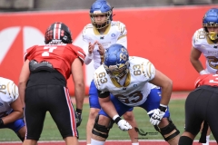autenticos-tigres-linces-uvm-onefa-liga-mayor-2023-67