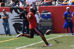 autenticos-tigres-linces-uvm-onefa-liga-mayor-2023-81