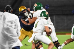 aztecas-udlap-pumas-cu-2025-onefa-13