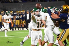 aztecas-udlap-pumas-cu-2025-onefa-96