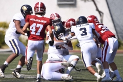 aguilas-blancas-pumas-acaltan-intermedia-2023-onefa-63