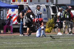 aguilas-blancas-pumas-acaltan-intermedia-2023-onefa-7