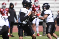 aguilas-blancas-leones-anahuac-2024-onefa-1