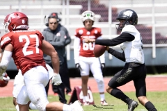 aguilas-blancas-leones-anahuac-2024-onefa-104