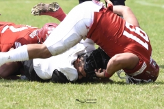 aguilas-blancas-leones-anahuac-2024-onefa-109