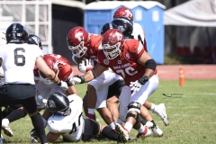 aguilas-blancas-leones-anahuac-2024-onefa-11