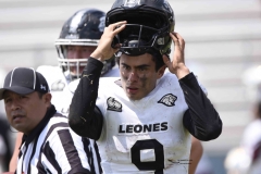 aguilas-blancas-leones-anahuac-2024-onefa-112