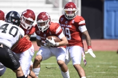 aguilas-blancas-leones-anahuac-2024-onefa-12