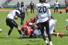 aguilas-blancas-leones-anahuac-2024-onefa-123