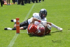 aguilas-blancas-leones-anahuac-2024-onefa-133