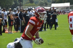 aguilas-blancas-leones-anahuac-2024-onefa-134
