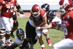aguilas-blancas-leones-anahuac-2024-onefa-19