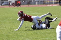 aguilas-blancas-leones-anahuac-2024-onefa-21