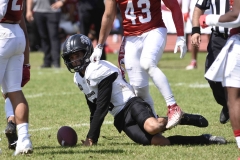 aguilas-blancas-leones-anahuac-2024-onefa-30
