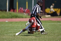 aguilas-blancas-leones-anahuac-2024-onefa-4