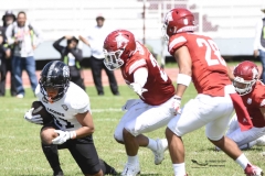 aguilas-blancas-leones-anahuac-2024-onefa-44