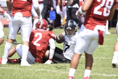 aguilas-blancas-leones-anahuac-2024-onefa-45