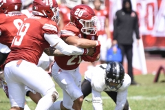 aguilas-blancas-leones-anahuac-2024-onefa-50