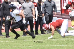 aguilas-blancas-leones-anahuac-2024-onefa-56