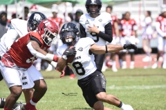 aguilas-blancas-leones-anahuac-2024-onefa-59