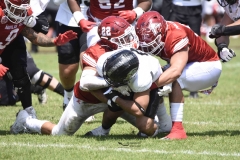 aguilas-blancas-leones-anahuac-2024-onefa-61