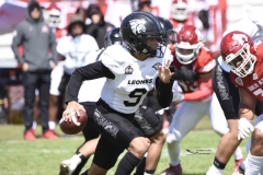 aguilas-blancas-leones-anahuac-2024-onefa-7