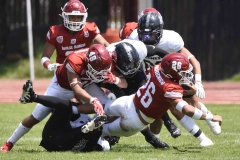 aguilas-blancas-leones-anahuac-2024-onefa-75