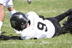 aguilas-blancas-leones-anahuac-2024-onefa-8