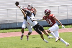 aguilas-blancas-leones-anahuac-2024-onefa-88