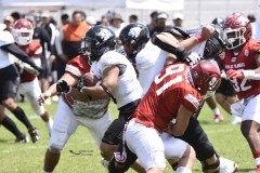 aguilas-blancas-leones-anahuac-2024-onefa-95