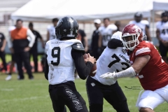 aguilas-blancas-leones-anahuac-2024-onefa-99