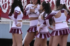DSC4333