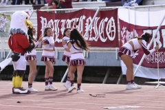 DSC4382