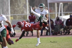 DSC4631