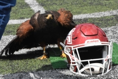 aguilas-blancas-borregos-gdl-onefa-2022-15