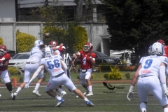 aguilas-blancas-borregos-gdl-onefa-2022-22