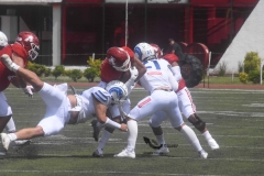 aguilas-blancas-borregos-gdl-onefa-2022-23