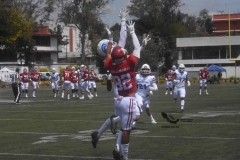 aguilas-blancas-borregos-gdl-onefa-2022-24