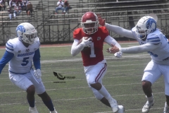 aguilas-blancas-borregos-gdl-onefa-2022-47