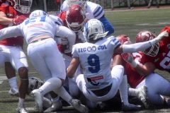 aguilas-blancas-borregos-gdl-onefa-2022-49