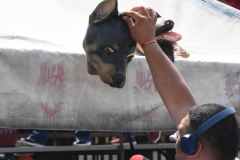 aguilas-blancas-borregos-gdl-onefa-2022-7