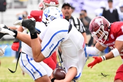 aguilas-blancas-borregos-cem-2025-onefa-24