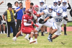 aguilas-blancas-borregos-cem-2025-onefa-66