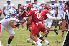 aguilas-blancas-borregos-cem-2025-onefa-7