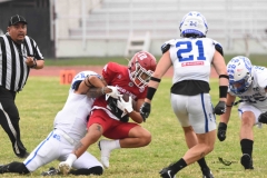 aguilas-blancas-borregos-cem-2025-onefa-73