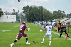 borregos-ccm-burros-blancos-onefa-2023-1