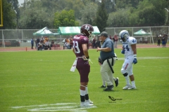 borregos-ccm-burros-blancos-onefa-2023-10